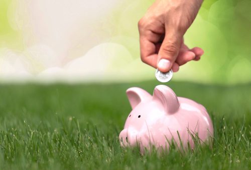 A hand placing a coin into a piggy bank in the grass.